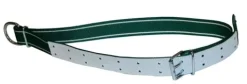 Obroża dla byka Classic, 150 x 5 cm, biały/zielony, Kerbl