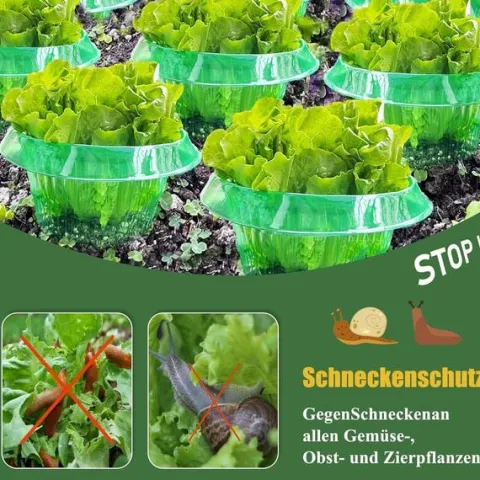 Obroża przeciw ślimakom pierścień ochronny 24cm zestaw 12 sztuk zielony