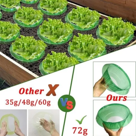 Obroża przeciw ślimakom pierścień ochronny 24cm zestaw 12 sztuk zielony