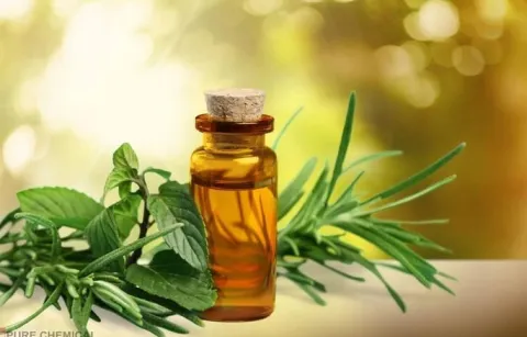 OLEJEK HERBACIANY Z DRZEWA HERBACIANEGO 100ml