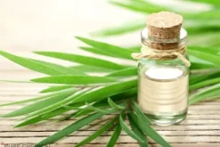 OLEJEK HERBACIANY Z DRZEWA HERBACIANEGO 100ml
