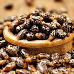 Olej rycynowy nierafinowany naturalny na włosy Indie butelka pompka 500ml