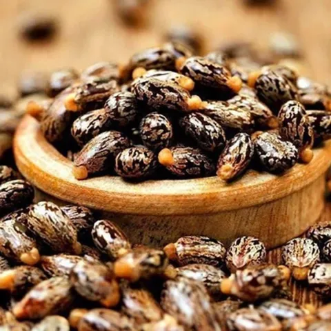 Olej rycynowy nierafinowany naturalny na włosy Indie butelka pompka 500ml