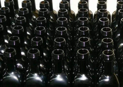 Olej z pestek dyni 500ml zimnotłoczony 100% świeży z polskich pestek