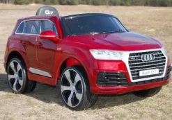 ORYGINALNE AUDI Q7 W NAJLEPSZEJ WERSJI, LAKIER/ 2188