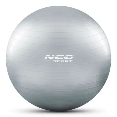 Piłka do ćwiczeń 65 cm NS-951 srebrna