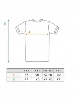 Piękna BLUZKA T-shirt Dużo Kolorów Rozmiarów