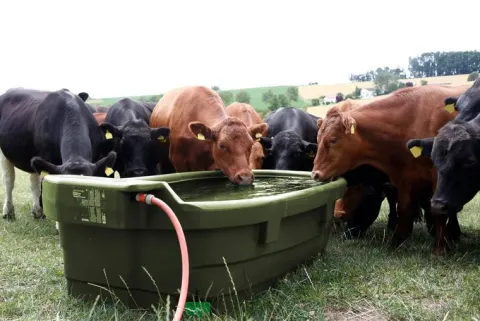Poidło pastwiskowe, 1000 l, Kerbl