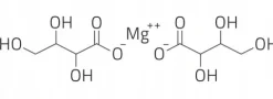 PROTON LABS L-treonian Magnezu 600mg 100 kapsułek Czysty Treonian Threonate