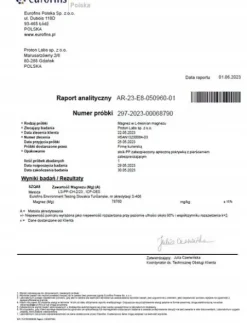 PROTON LABS L-treonian Magnezu 600mg 100 kapsułek Czysty Treonian Threonate