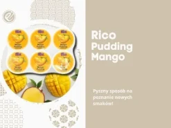 Rico Mango Pudding deser mango na wodzie kokosowej 6x65g