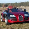 ROADSTER Z RĄCZKĄ DO PCHANIA, LAKIEROWANY NOWOŚĆ/1188