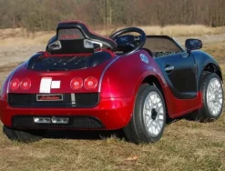 ROADSTER Z RĄCZKĄ DO PCHANIA, LAKIEROWANY NOWOŚĆ/1188
