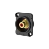Roxtone gniazdo tablicowe RCA RF2D-B-R