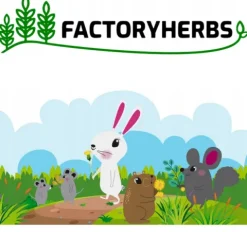 SIANKO TYMOTKOWE 500g siano królika gryzoni królików świeże 26 FACTORYHERBS