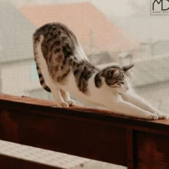 Siatka ochronna na balustrady schody balkon dla dzieci zabezpieczenie 300cm
