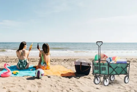 Składany duży wózek ogrodowy plażowy turystyczny transportowy zielony