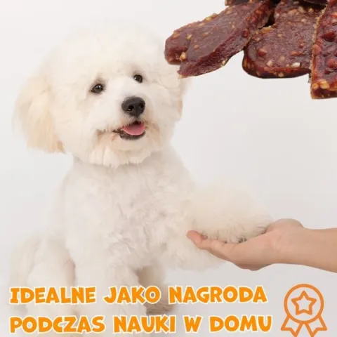Smaczki przysmaki dla psa serduszka z kaczką i ryżem 500g PAWFECT BITES