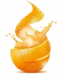 SOKOWIRÓWKA WYSOKOOBROTOWA WYCISKARKA OWOCÓW NA SOK FRESH JUICE INOX