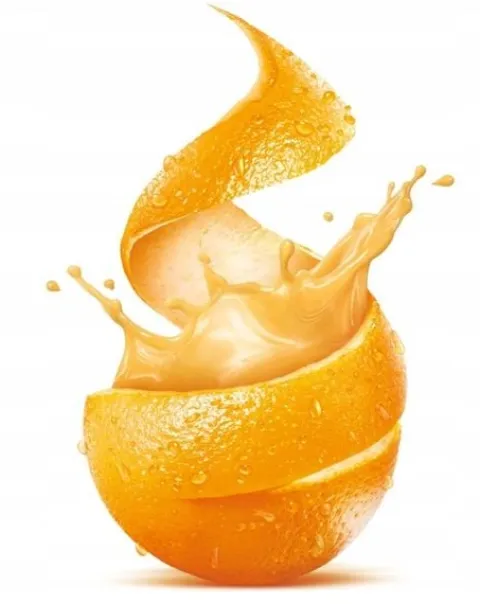 SOKOWIRÓWKA WYSOKOOBROTOWA WYCISKARKA OWOCÓW NA SOK FRESH JUICE INOX