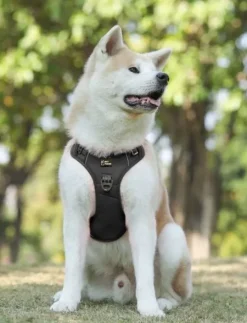 Szelki dla psa GUARD, OWCZAREK, LABRADOR,ROZM.XL
