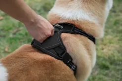 Szelki dla psa GUARD, OWCZAREK, LABRADOR,ROZM.XL