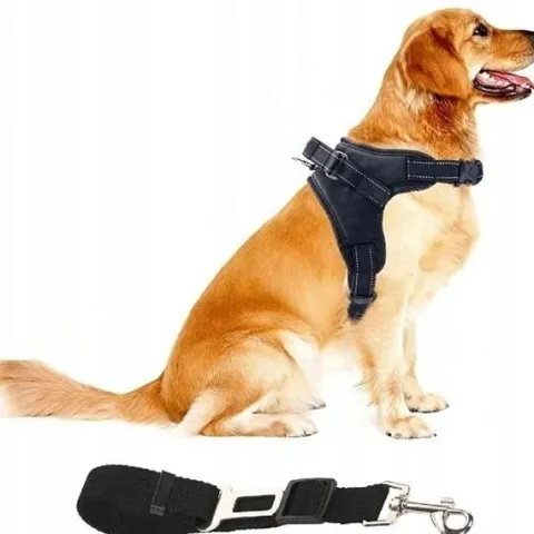 Szelki dla psa + Smycz BEZUCISKOWE czarne rozm XL Labrador Golden Owczarek