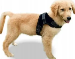 Szelki dla psa + Smycz BEZUCISKOWE czarne rozm XL Labrador Golden Owczarek