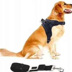 Szelki dla psa + Smycz BEZUCISKOWE czarne rozmiar L Buldog Pinczer Shiba