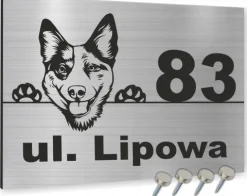 Tabliczka adresowa numer domu NAZWA ULICY 40x30 cm SZYLD NA DOM nazwa ulicy