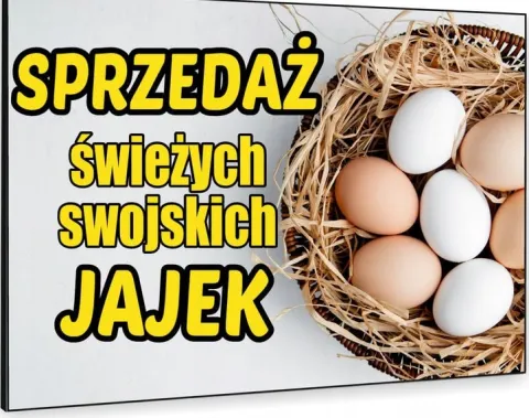 TABLICZKA REKLAMOWA szyld z dibondu nadruk 40x30 cm sprzedaż jajek