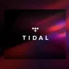 Tidal Premium | 2 miesiące | 60 DNI | INDYWIDUALNE KONTO PREMIUM
