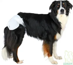 TRIXIE Pieluchy pampersy psa suczki na nietrzymanie moczu cieczkę 12 szt XL