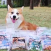 UNIQ PETS Przysmak dla psa z kaczki - frytki z batatów owinięte kaczką 500g