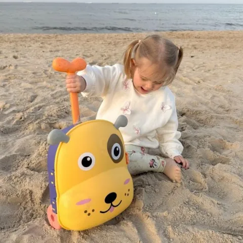 WOOPIE Zestaw do Piasku 3w1 Walizka Piesek Stolik Wodny
