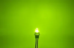 W5W żarówka LED T10 12-24V CANBUS 500lm 8 kolorów Limonkowa