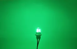 W5W żarówka LED T10 12-24V CANBUS 500lm 8 kolorów Zielona