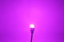 W5W żarówka LED T10 12-24V CANBUS 500lm 8 kolorów Fioletowa