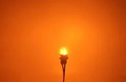 W5W żarówka LED T10 12-24V CANBUS 500lm 8 kolorów Pomarańczowa