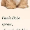 Zakładka 2 do książki - Panie Boże spraw