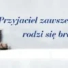Zakładka 11 do książki - Przyjaciel zawsze okazuje miłość, rodzi się bratem w niedoli...