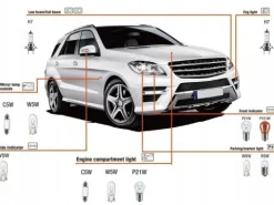 ZESTAW ZASOBNIK KOMPLET ŻARÓWEK ZAPASOWYCH 2x H7 12V BEZPIECZNIKI ZAPACH